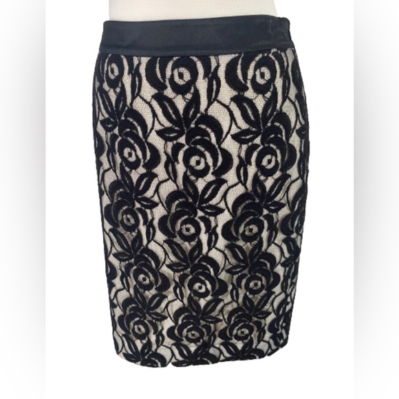Ann Taylor Dresses & Skirts - Size 4 Ann Taylor Pencil Skirt